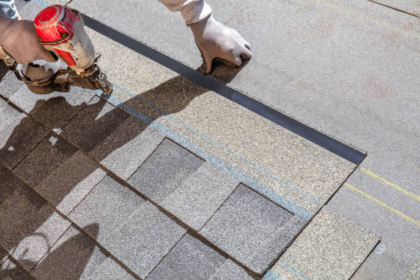 Best Local Roofing Companies  in Carey, OH