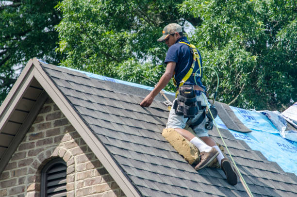 Best Roof Gutter Cleaning  in Carey, OH